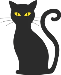 black cat.webp